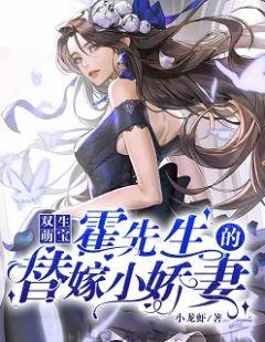 双生萌宝:霍先生的替嫁小娇妻