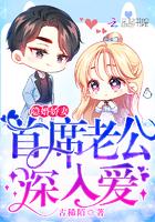 隐婚娇妻:首席老公,深入爱!