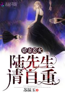 娇妻惹火:陆先生,请自重!