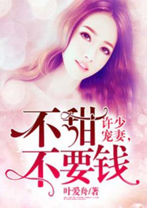 许少宠妻,不甜不要钱