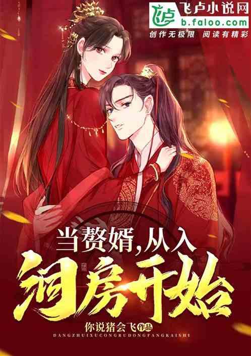 当赘婿，从入洞房开始