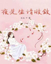 夜先生请收敛