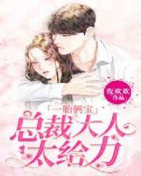 一胎俩宝,总裁大人太给力