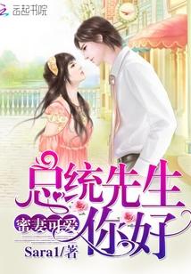 蜜妻可爱:总统先生,你好