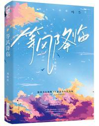 等风(出版名《等风降临》)