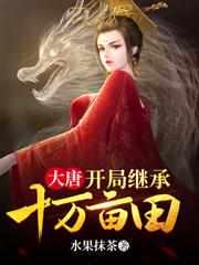 大唐:开局继承十万亩田