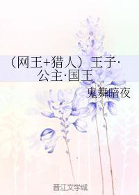 (网王+猎人)王子·公主·国王