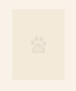 荒岛求生,最后我竟然成为了人生赢家?