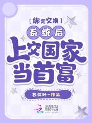 绑定交换系统后,上交国家当首富