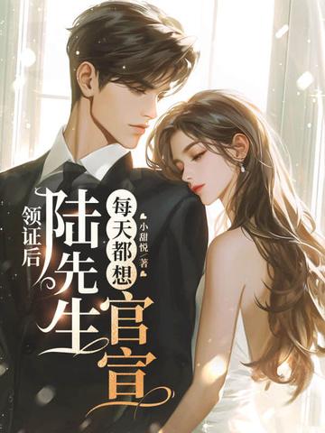 领证后,陆先生每天都想官宣