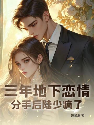 三年地下恋情,分手后陆少疯了